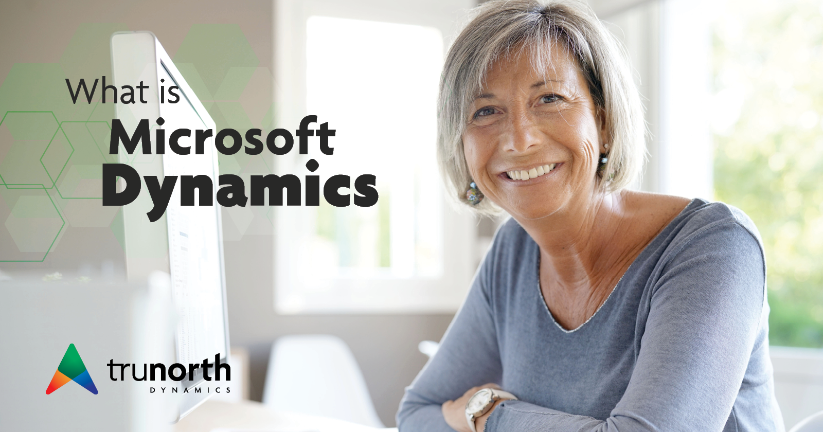 Read more about the article What is Microsoft Dynamics