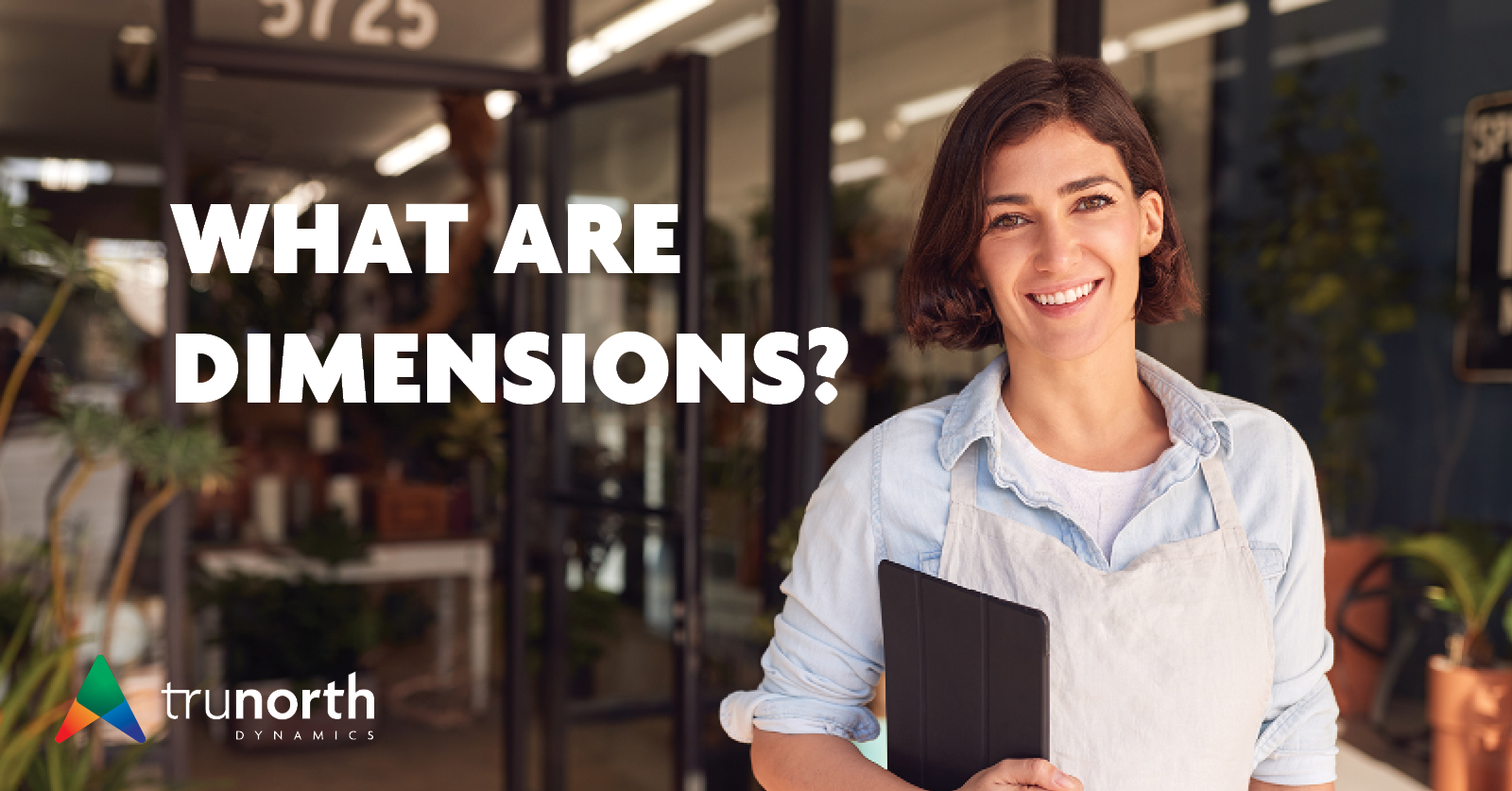 Read more about the article What are Dimensions