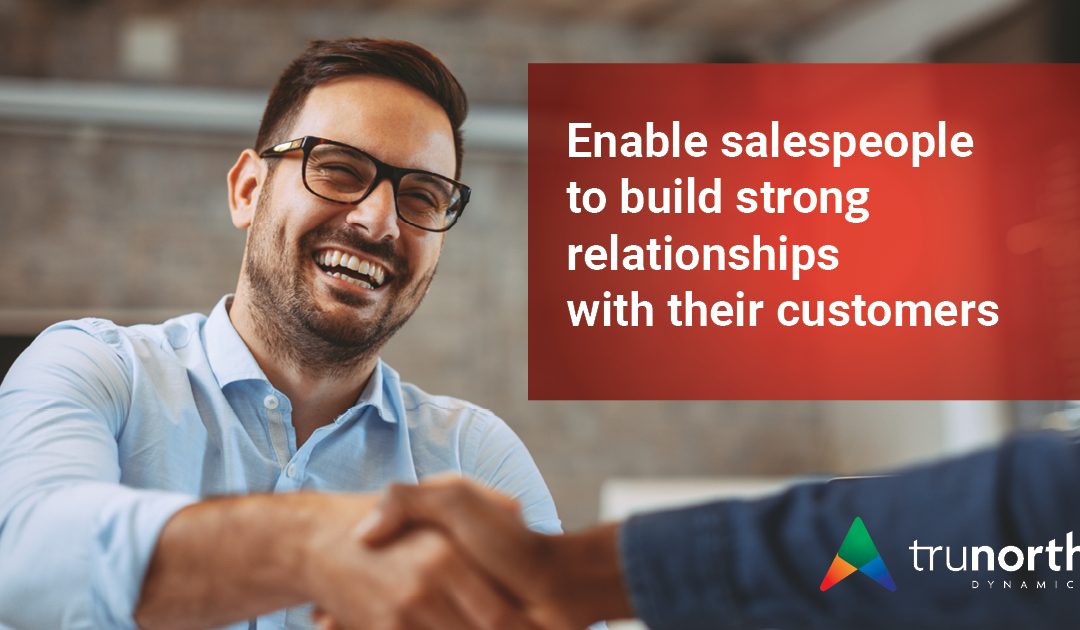 Read more about the article Discover How Dynamics Solutions Empower Small and Medium Businesses to Streamline Operations and Stay Competitive in an Evolving Marketplace